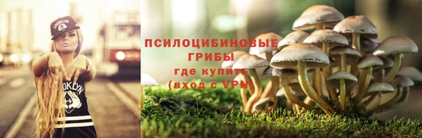 герыч Елизово