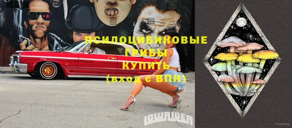 хмурый Елабуга