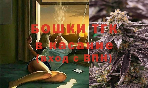 твердый Заводоуковск