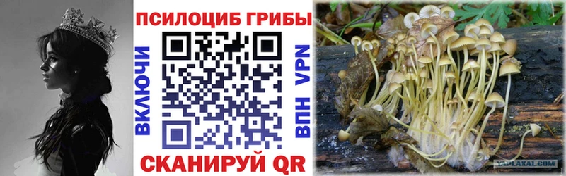 Псилоцибиновые грибы ЛСД  Истра 