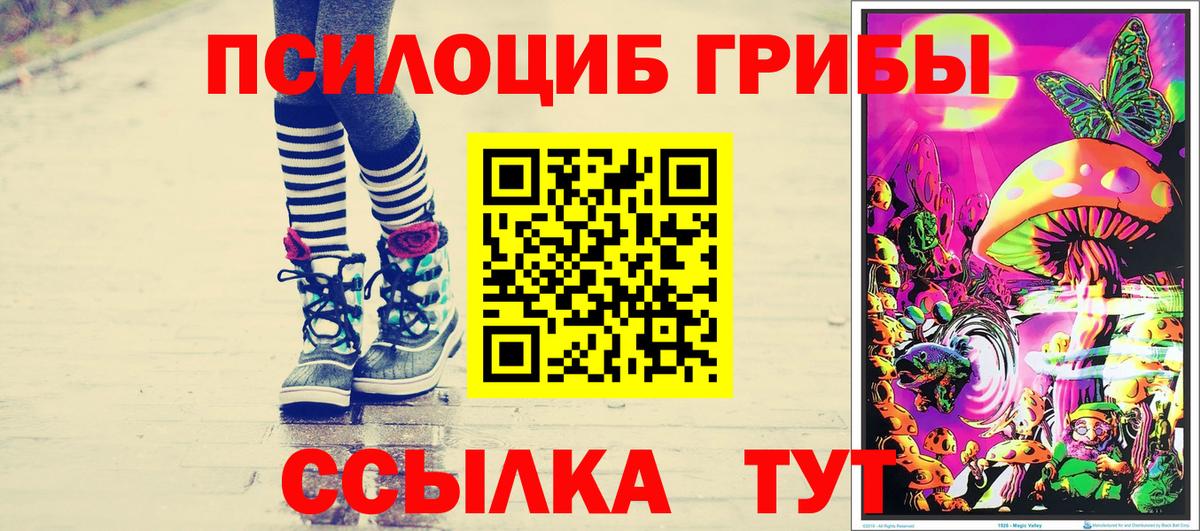 Галлюциногенные грибы MAGIC MUSHROOMS Истра