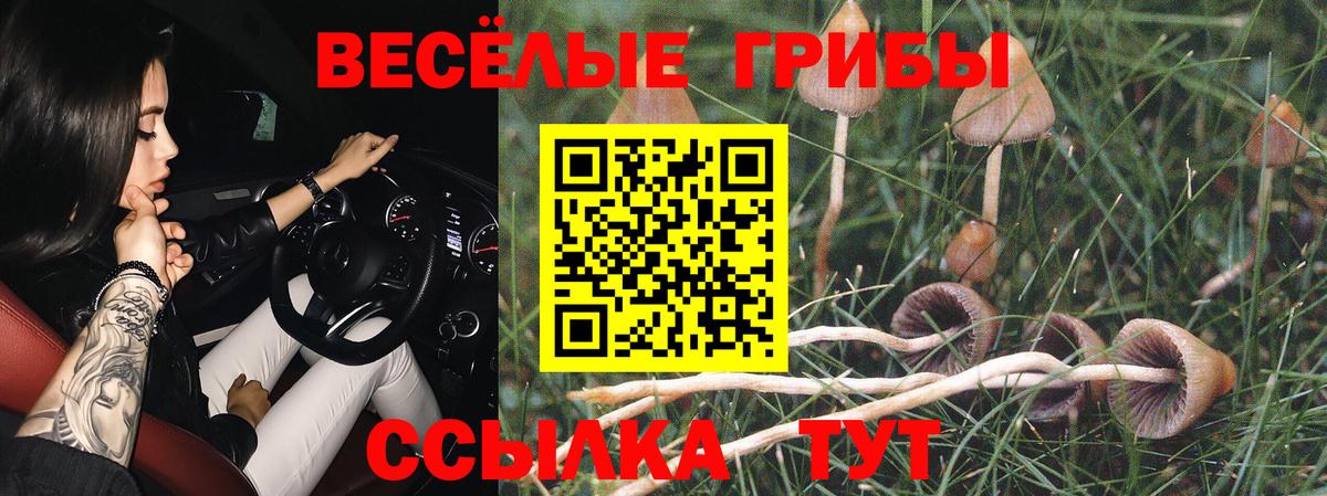 наркота  Вход с VPN  Истра  Псилоцибиновые грибы мицелий 